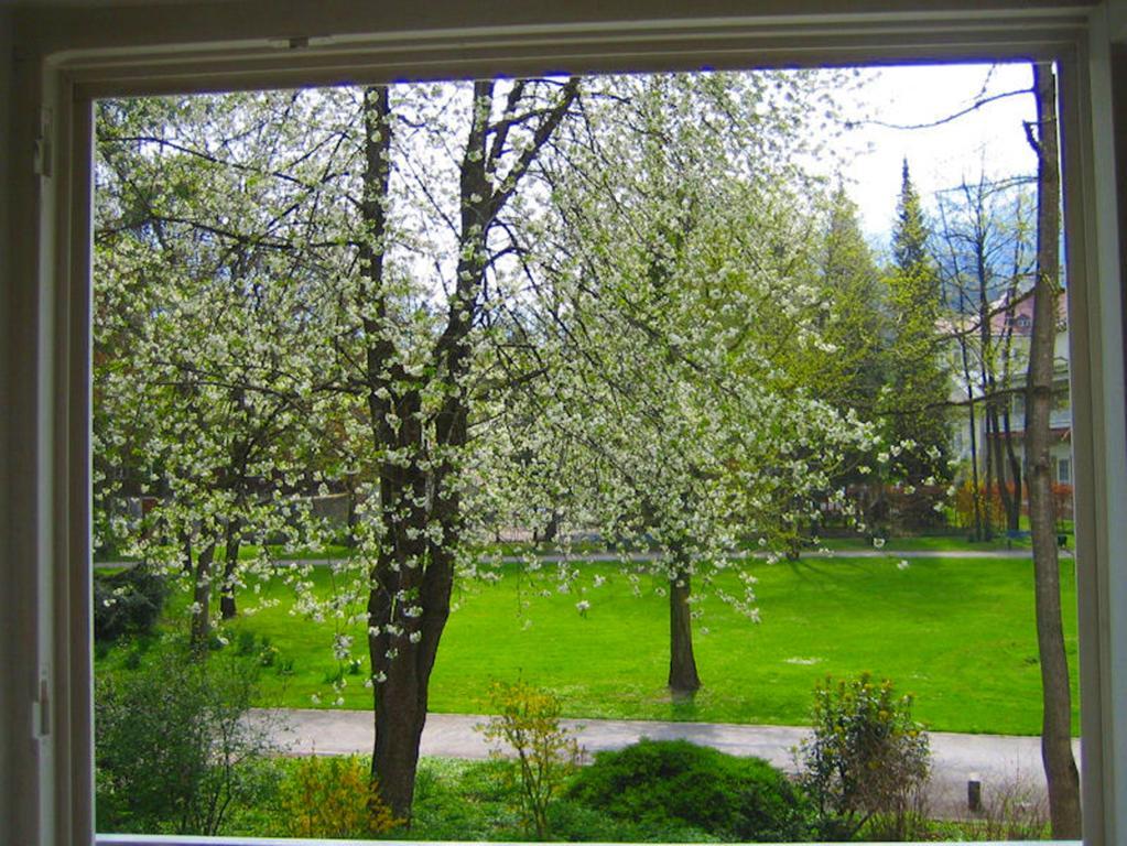 Ferienwohnung Am Ortenaupark Bad Reichenhall Eksteriør billede